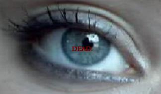 dead.jpg